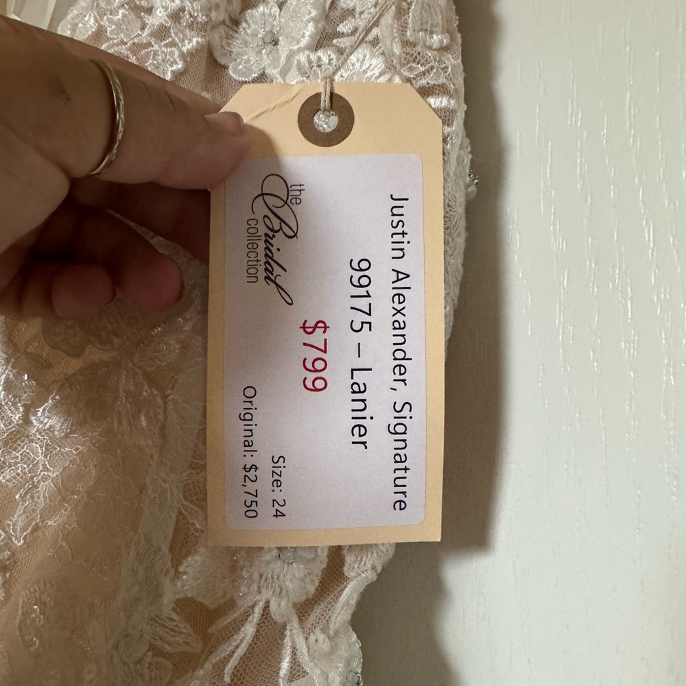 Size 24 Justin A. Dress - Picture 3 of 4